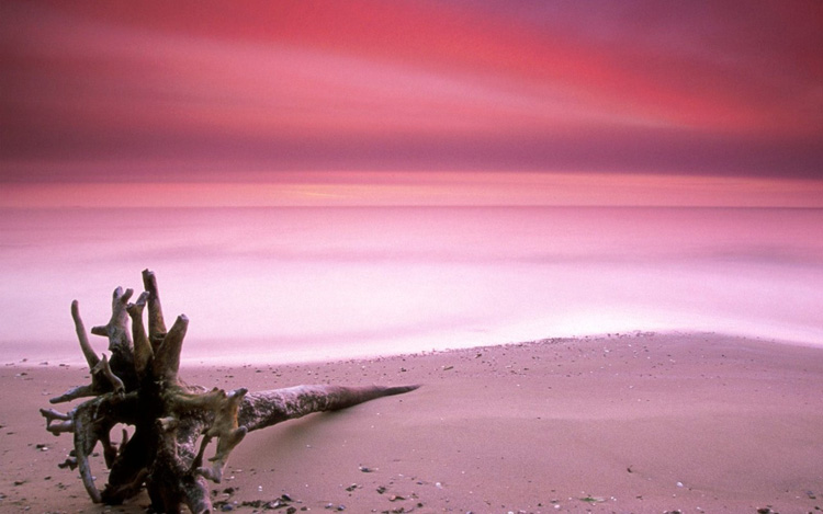 Розовый пляж, остров Харбор