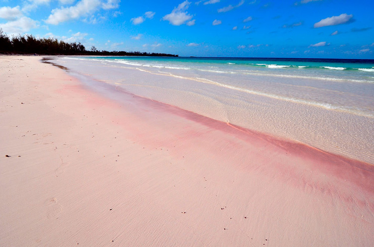 Розовый пляж, остров Харбор 3
