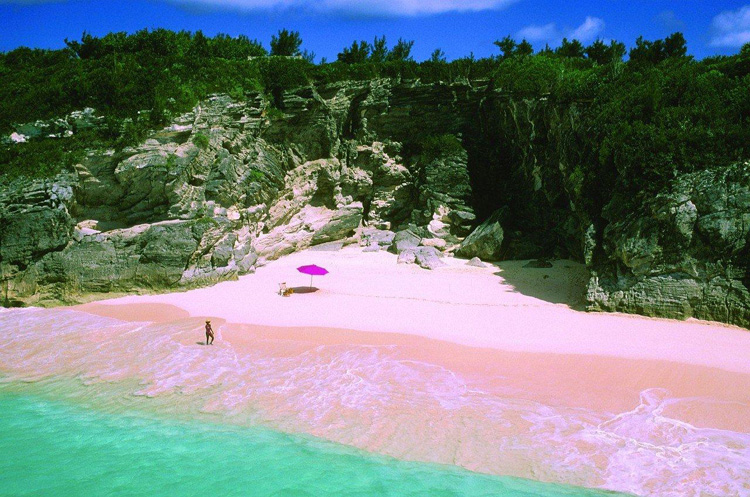 Розовый пляж, остров Харбор 4