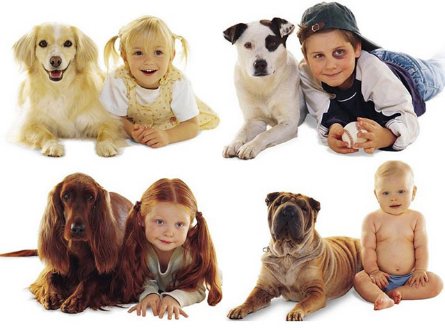 породы собак для детей